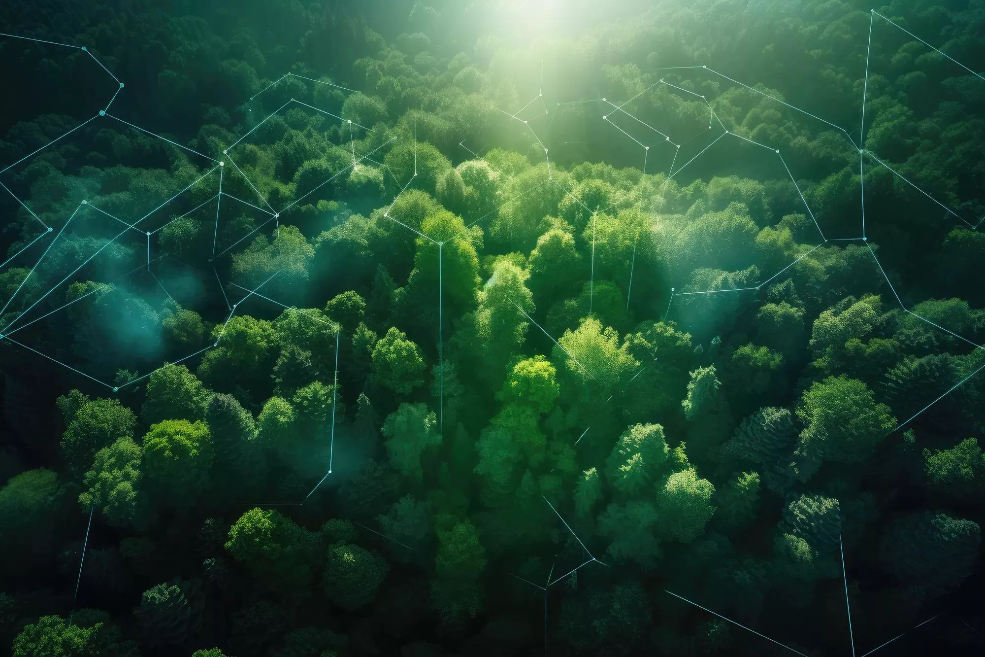 Aerial view of green forest in summer at dawn with glowing technological communication lines, created with Generative AI.