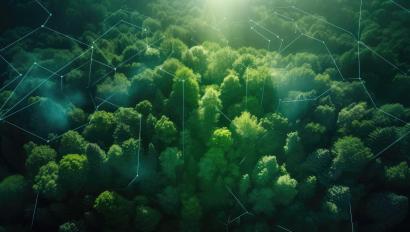 Aerial view of green forest in summer at dawn with glowing technological communication lines, created with Generative AI.